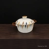 Cartoon underglaze color double-ear ceramic instant noodle bowl with lid, student dormitory instant noodle bowl, household hand-painted soup bowl Application Scenario